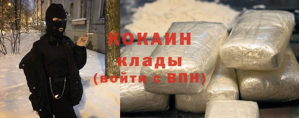меф Арсеньев
