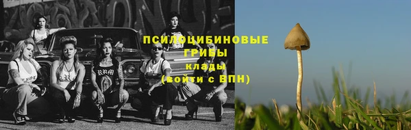 хмурый Михайловск