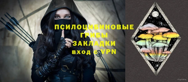 винт Армянск