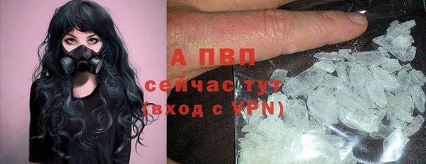 меф Арсеньев